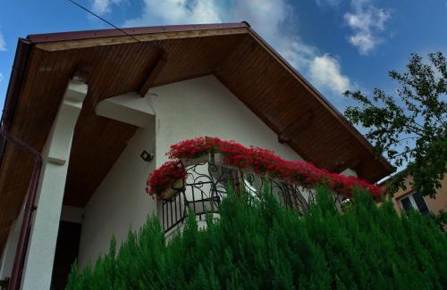 Ocna Sugatag House | Casa Ade