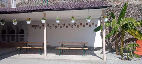 Eselnita House | Casa Adelin