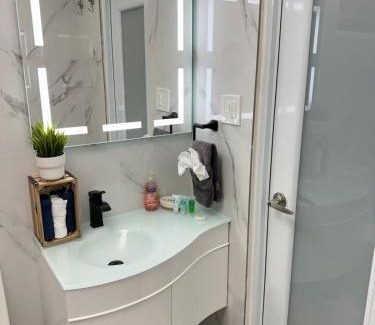 Levittown House | Casa Agave Oasis Levittown