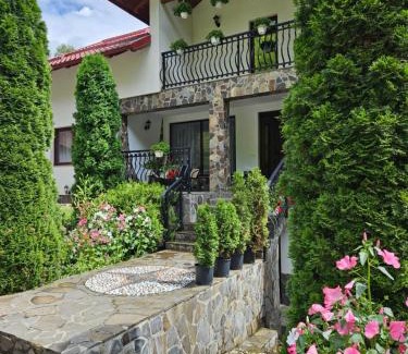 Borsa House | Casa Alba