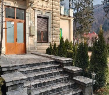 Sinaia Apartment | Casa Albert Litman