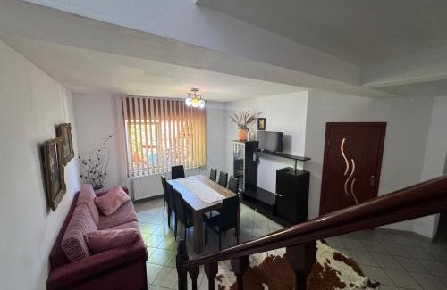 Gura Humorului House | Casa Alexana