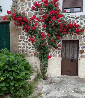 Gouveia Apartment | Casa Amarela - Aldeias - Serra da Estrela