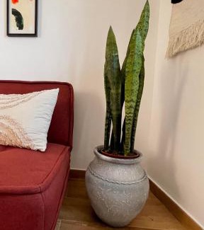 Almocageme Apartment | Casa Amarela
