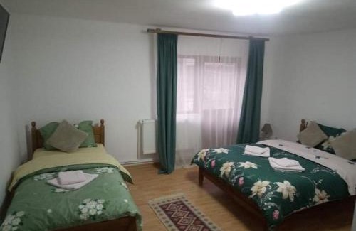 Slanic-Moldova House | Casa Anastasia Slănic Moldova