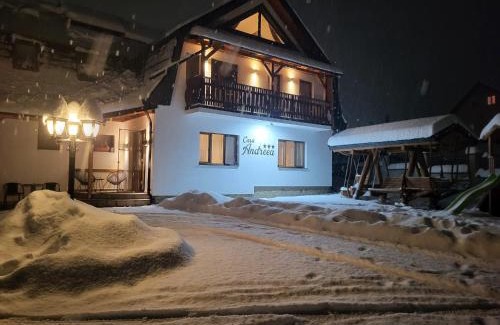 Vatra Dornei Hotel | Casa Andreea