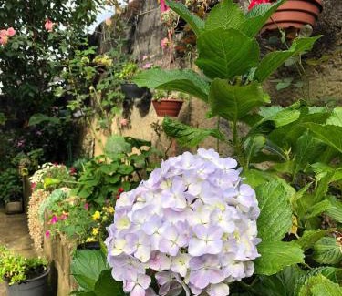 Vila Albertina House | Casa anexa com lareira