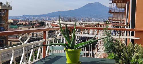 Castellammare di Stabia House | Casa Anna B&B