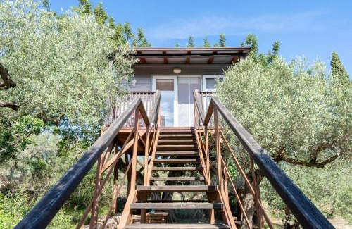 Camarles House | Casa Arbol