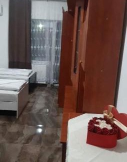 Satu Mare Apartment | CASA ARDELEANULUI