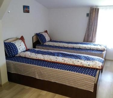 Curtea De Arges House | Casa Ariana