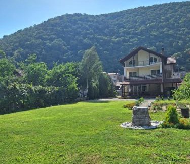 Baile Herculane House | Casa Astoria
