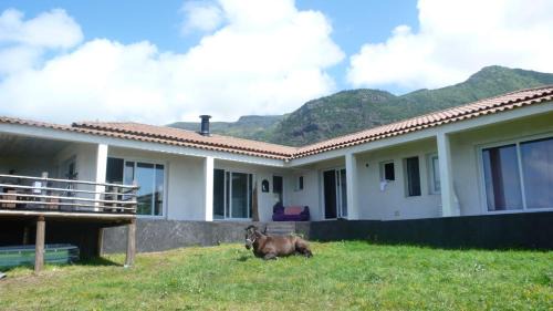 Lajes das Flores House | Casa Atlantida - Sea front