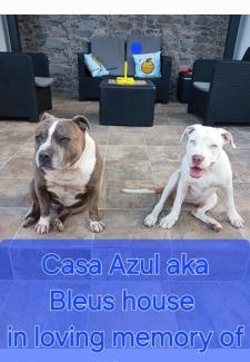 Las Lagunetas Apartment | Casa Azul Mountain Retreat