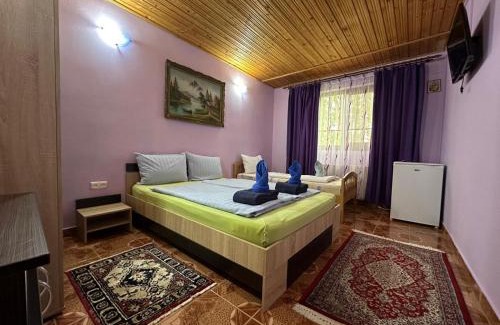 Venus Villa | Casa Badea Tinica