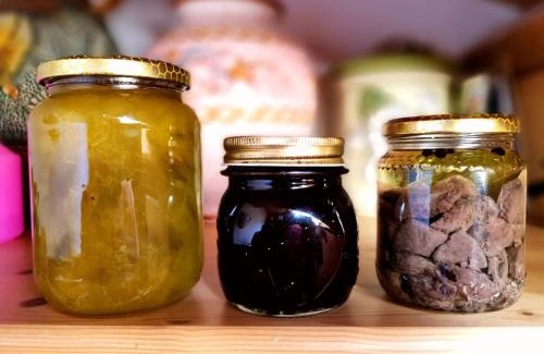 Santo Stefano di Cadore Apartment | Casa Bagatin