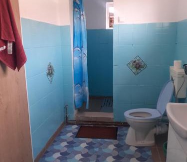 Ocna Mures House | Casa Beatrice