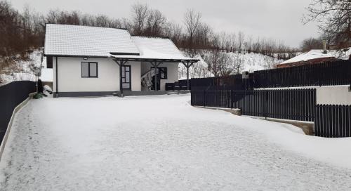 Bacau County House | Casa Bellevue