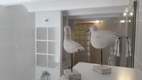 Santa Clara Bed & Breakfast | Casa Blanca