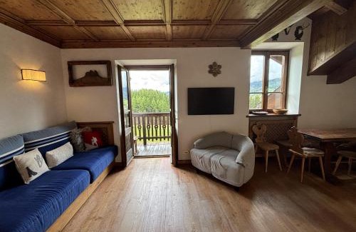 Cortina d'Ampezzo Apartment | Casa Blue Lodge in Cortina d Ampezzo