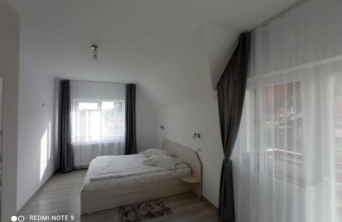 Sovata House | Casa Bokor