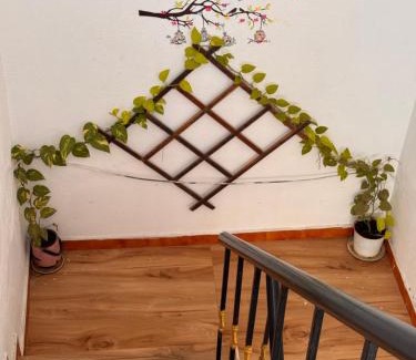 Pondicherry Beach Apartment | Casa Bonita Pondy