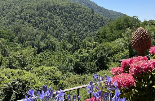 Calice al Cornoviglio House | Casa Boru - a beautiful fully restored spacious house with fantastic views