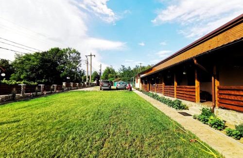 Sasca Montana House | Casa Borcean 2