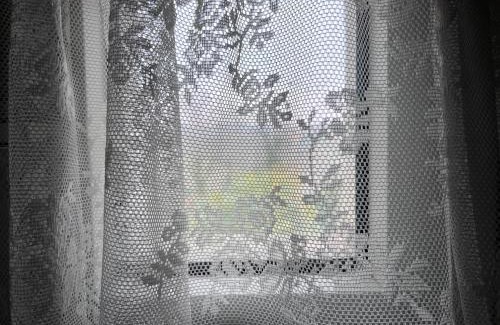 Carpeneto Apartment | Casa Borgo SantAlberto
