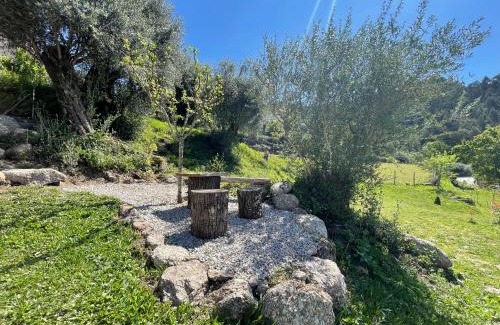 Vilar House | Casa Botica - Gerês Country House