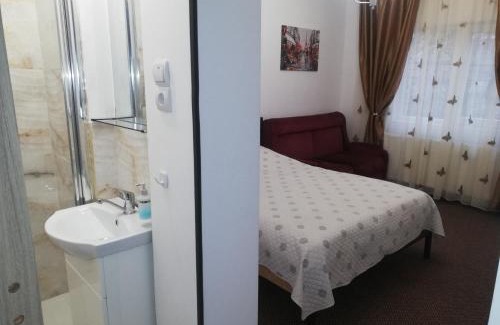 Tirgu Ocna House | Casa Bucur