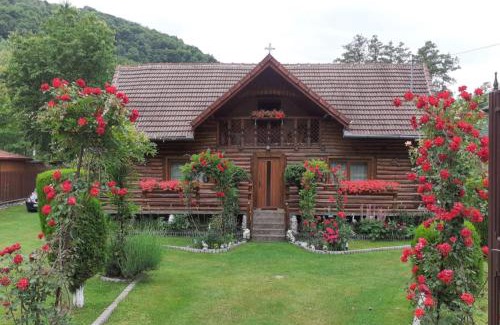 Orastioara de Sus House | Casa Bunicii