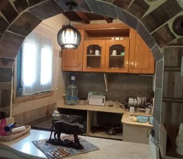 El Faiyum Ski Chalet | Casa Byoum jungle