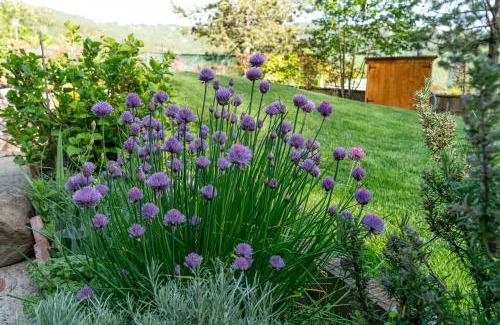 Poppi House | Casa Camporino