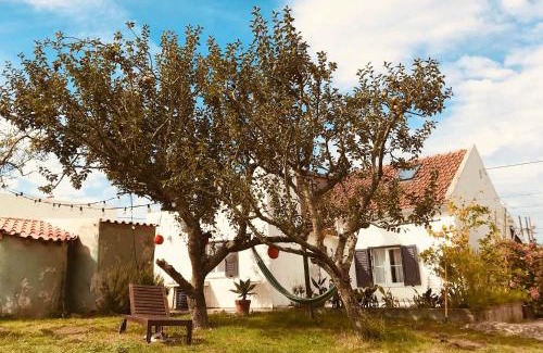 Lourinha House | Casa Cao Verde Charmantes Landhaus mit Garten