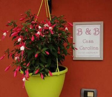 Castellinaldo Bed & Breakfast | Casa Carolina