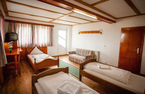 Sebes House | Casa Cerbului1
