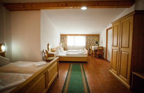 Sebes House | Casa Cerbului1