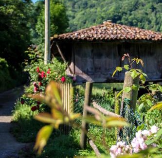Cano House | Casa Clarita