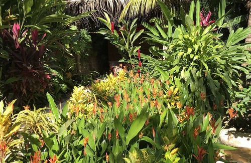 Montezuma House | CASA COLIBRI