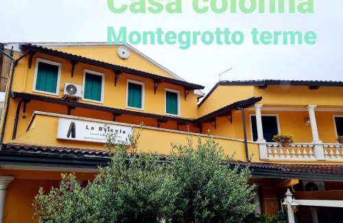 Montegrotto Terme Apartment | Casa Colonna Montegrotto terme