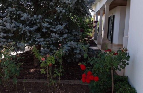 Fatima House | Casa com ALma