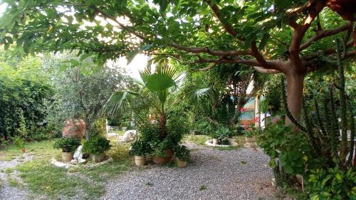 Burriana House | Casa con jardín frente Playa de Burriana