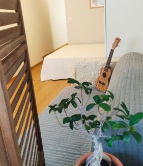 Braga House | Casa Coral - Lodging & Culture