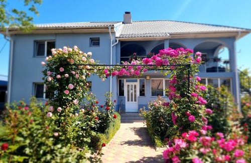 Plopul House | Casa cu Trandafiri Murighiol
