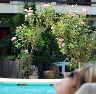 Vassal Bed & Breakfast | Casa da Aldeia da Avó