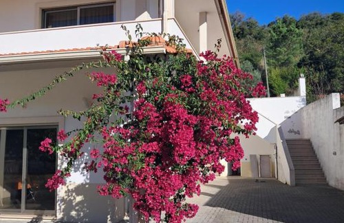Juncal House | Casa da Anita