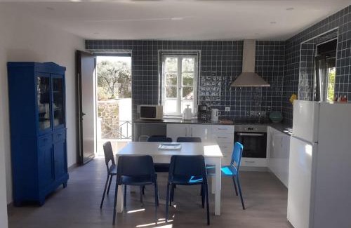 Gouveia House | Casa da Figueira