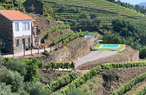 Vila Marim House | Casa da Oliveira