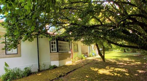 Ponte de Lima Bed & Breakfast | Casa da Roseira